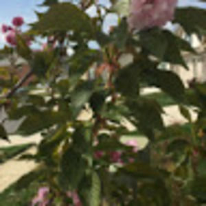 Meet your Posher, Elva